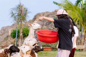LÀM BẠN VỚI THÚ CƯNG VÀ CÂY CỎ